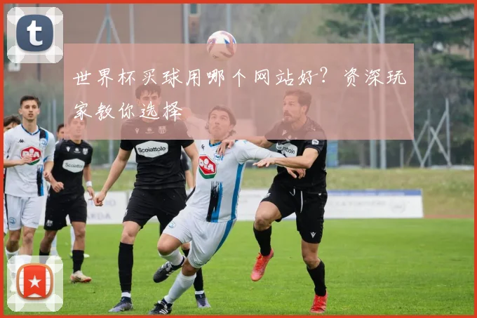 世界杯买球用哪个网站好？资深玩家教你选择
