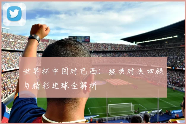 世界杯中国对巴西:经典对决回顾与精彩进球全解析