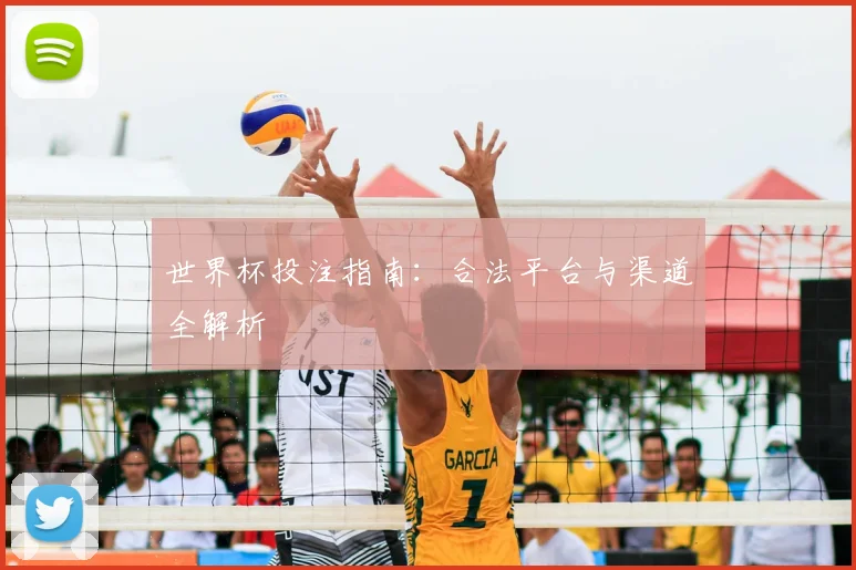 世界杯投注指南：合法平台与渠道全解析