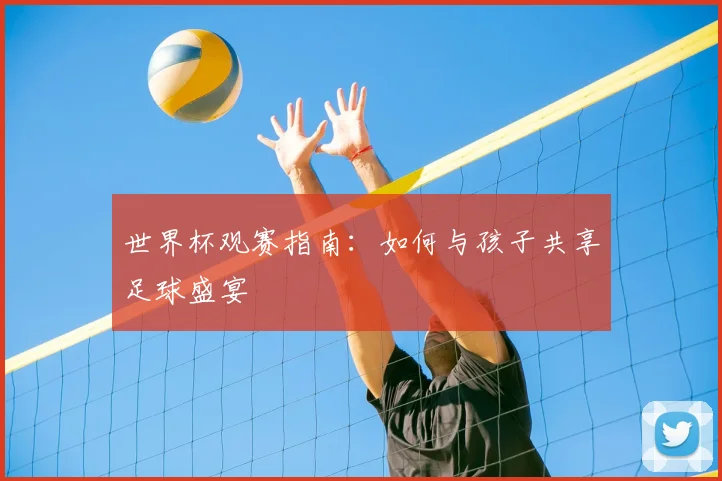 世界杯观赛指南:如何与孩子共享足球盛宴