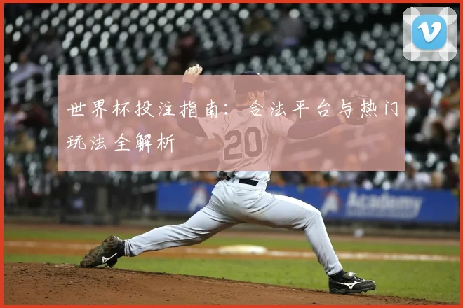 世界杯投注指南:合法平台与热门玩法全解析