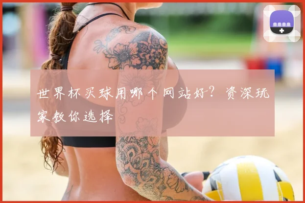 世界杯买球用哪个网站好?资深玩家教你选择