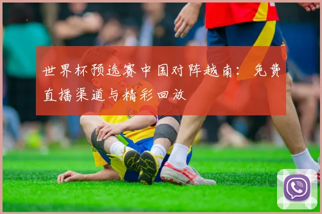 世界杯预选赛中国对阵越南:免费直播渠道与精彩回放