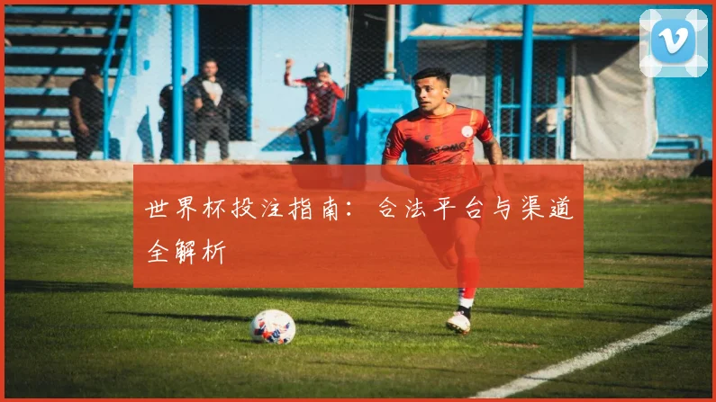 世界杯投注指南:合法平台与渠道全解析