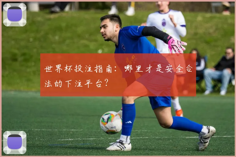 世界杯投注指南：哪里才是安全合法的下注平台？