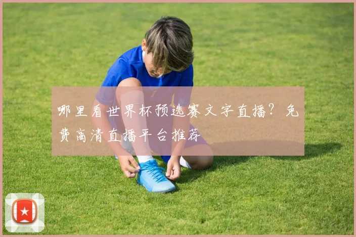 哪里看世界杯预选赛文字直播?免费高清直播平台推荐